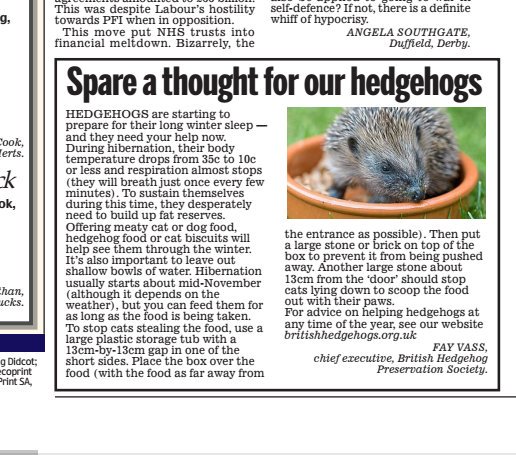 Our letter in <a href="/DailyMailUK/">Mail+</a> today #keepfeedinghedgehogs
