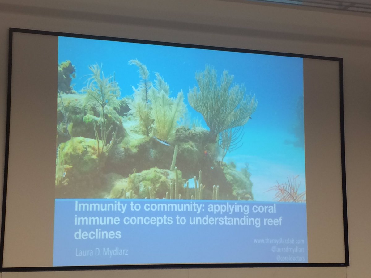 coraldoctors's tweet photo. Up now: @LauraDMydlarz talking at the @UTABiologyDept seminar series about current research in the lab. #coraldoctors #makesciencecoolagain https://t.co/0buV0HlKof