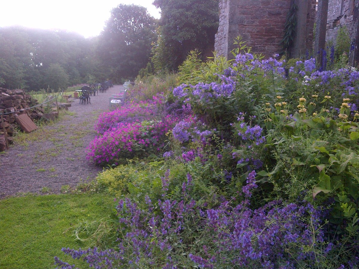 Tomorrow is LAST DAY for <a href="/KirklintonHall/">Kirklinton Hall</a> 2017. Roll up for veg, half price roses, The best cakes and scones and wistful, mellow autumness.