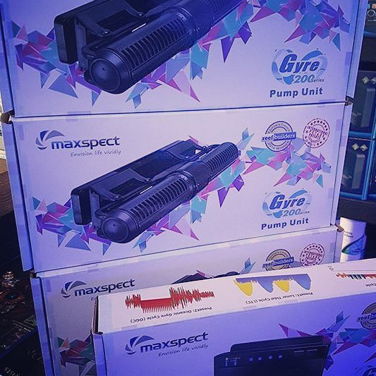MaxspectLED's tweet image. Great time to shop. Maxspect Gyre FX250 and FX230 back in stock.
#maxspect #reeftank #reef #coralvue #gear #equipment 📷: @coralsdirect