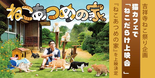 ねこあつめの家 Nekoatsumemovie Twitter