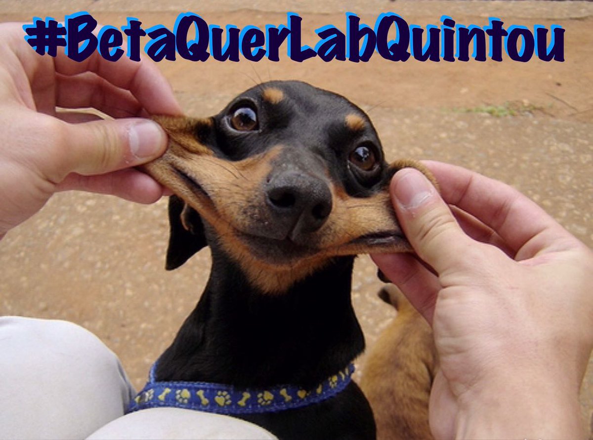 #BetaQuerLabQuintou que tenham todos um maravilhoso e abençoado fim de noite meus amigos pra todos vcs 🙏
#BetaQuerLab ❤