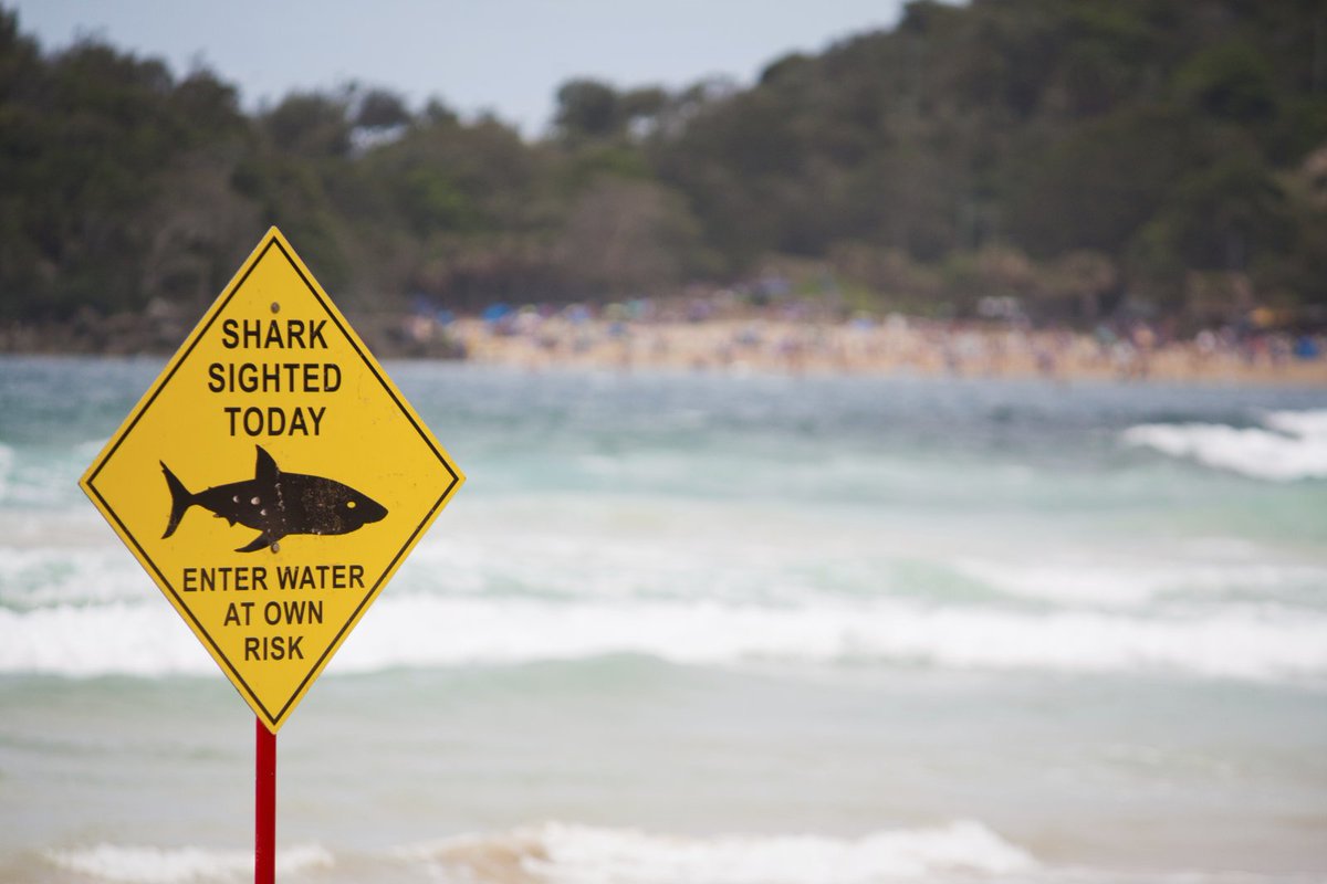 Australia tiene un problema de tiburones pero nuevos drones con Inteligencia Artificial llegan al rescate. ow.ly/iPZk30ffzHh