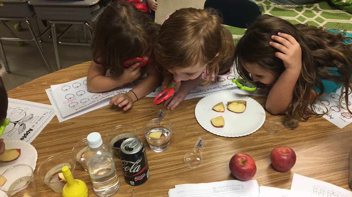 LindsayBraswell's tweet photo. The Monkeys were apple investigators today. #c6learns #littlescientists 🐒🍏🍎🔎🔍 https://t.co/OMpTRCdwi4
