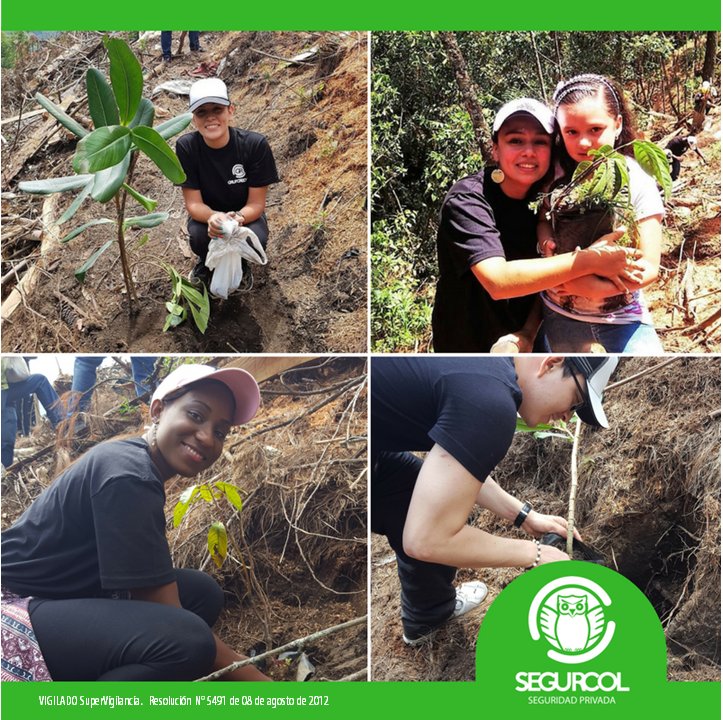 segurcoltda's tweet photo. ¡Qué gran noticia para Segurcol!😆👨‍✈️

NOS HEMOS CERTIFICADO EN LA NORMA ISO 14.001. 🌿🌳🥀 https://t.co/n72cQn22FQ