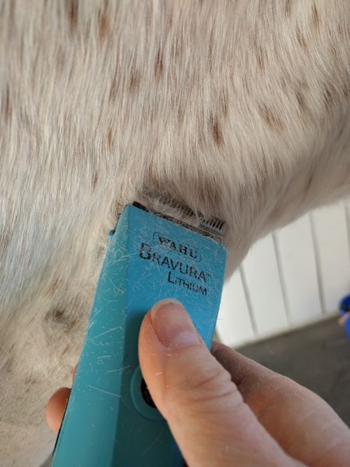 Event Clinics tweet media