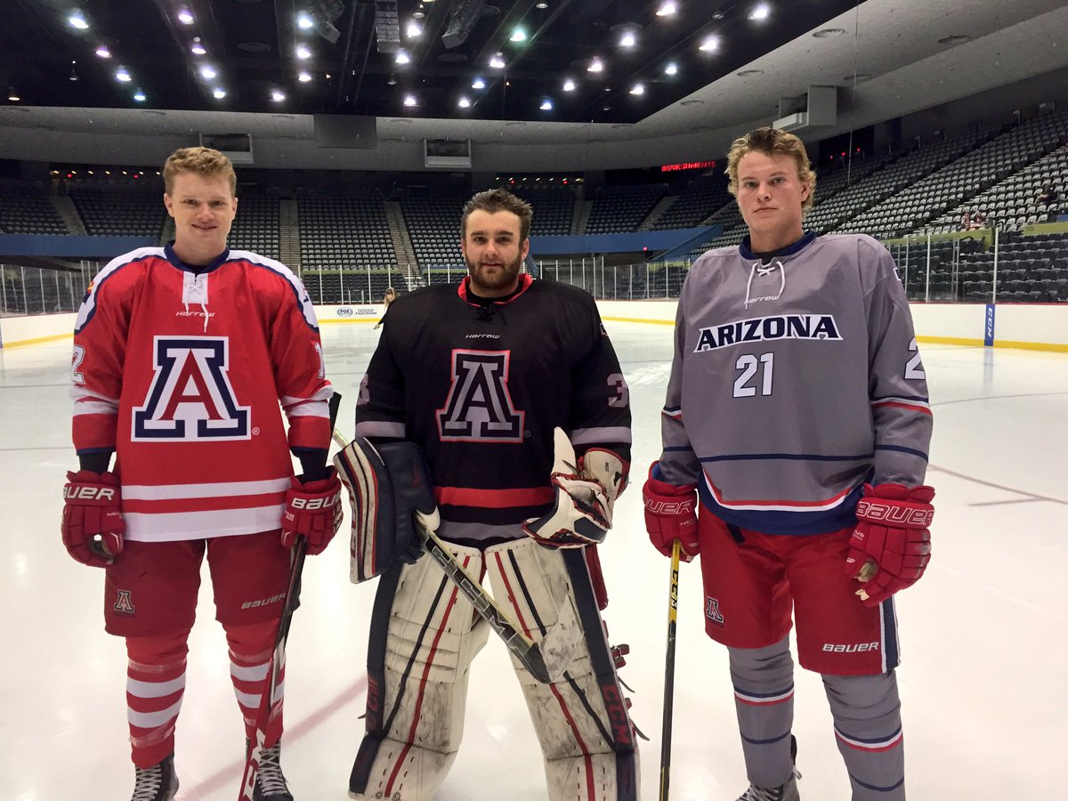 arizona wildcats hockey jersey