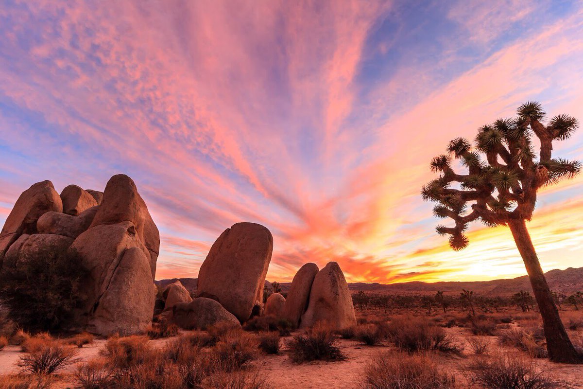 Interior's tweet photo. Free entrance to all public lands on Saturday for National Public Lands Day. RT to spread the word! #NPDL #FindYourPark https://t.co/bnk83Etr69