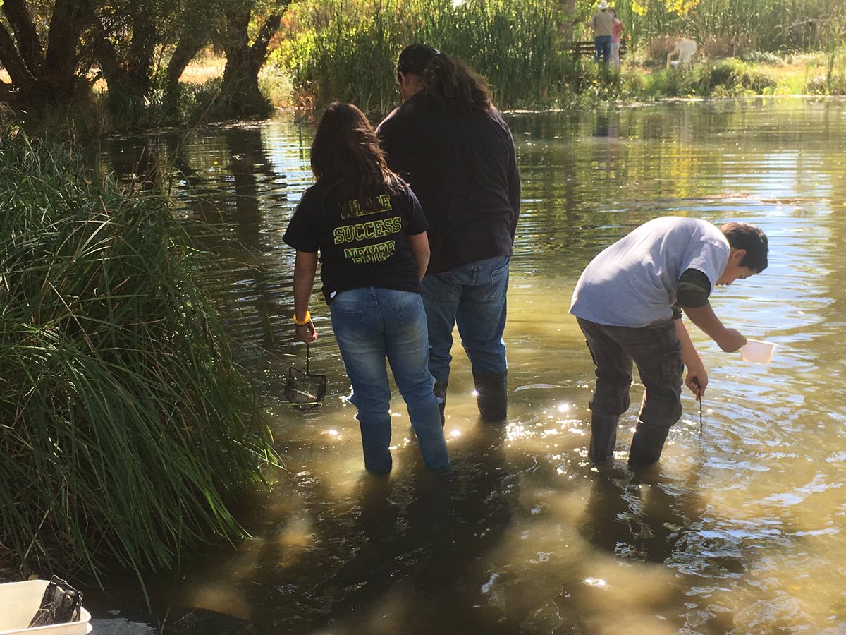 karoleesmiley's tweet photo. Smythe students exploring at the Yolo basin foundation https://t.co/nyAC0zS3Wx