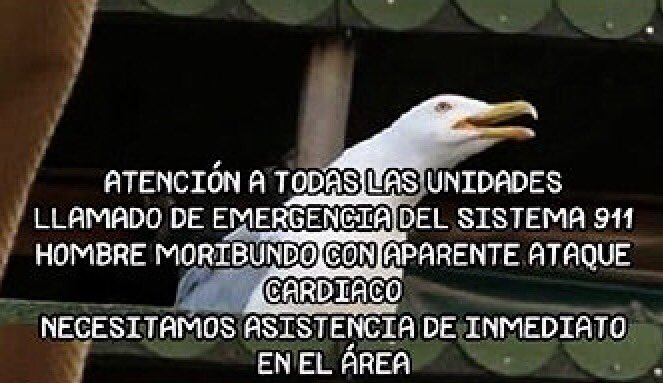 TemasViejos's tweet photo. Temazo https://t.co/Y8fzQk98og