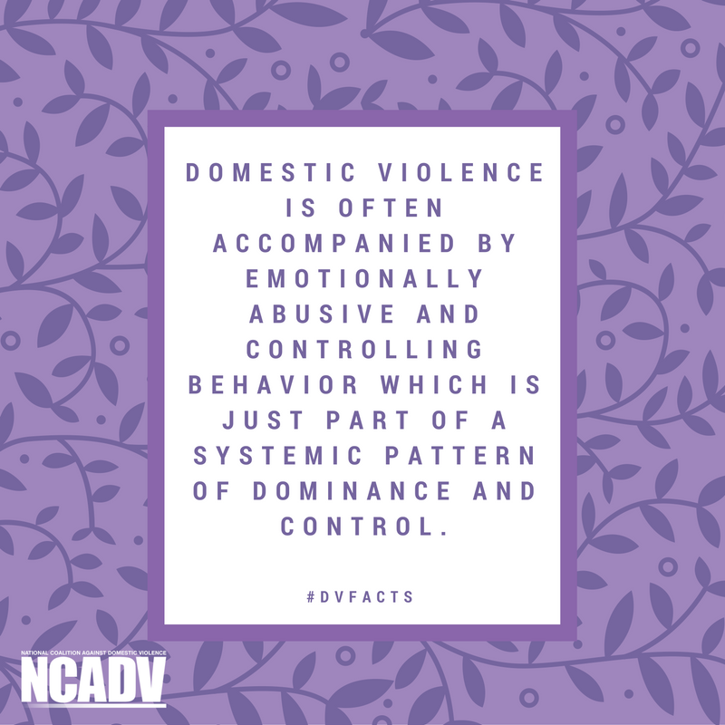 sj_action's tweet photo. #DVFacts speak to more than physical violence; it's a pattern of power and control. https://t.co/mgXFFHyXBK