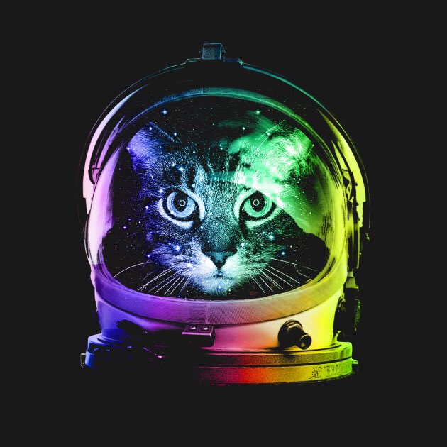 ItsSpaceCats's tweet photo. https://t.co/33Tg6zxYff