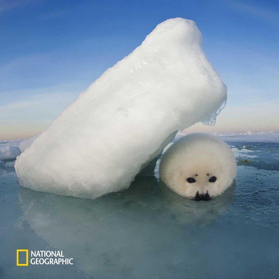 남구브액⩥퉬⩤ 🅲🅾🅺_9999 ⩥브액⩥얼음⩥작때기.hkp\, image size:900x900