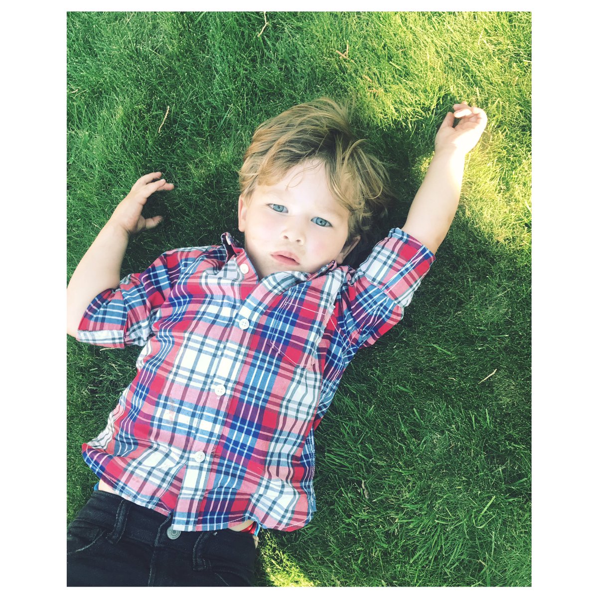 terynchapin's tweet photo. When you're playing in the grass but you look like a #gapmodel. 😭❤️👦🏻 @Gap @GapKids #gapkids #myshepardmilo @chadchapin https://t.co/j80479U6tu