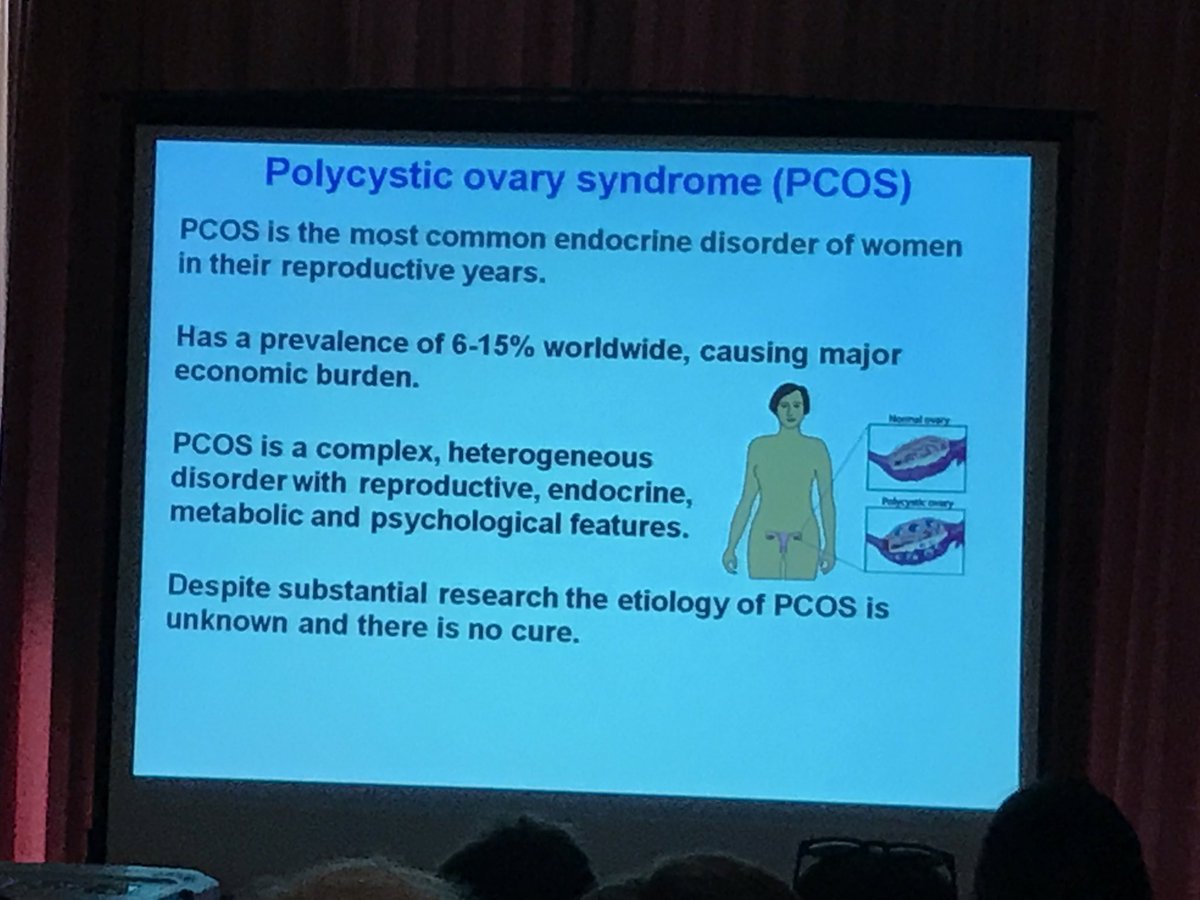 DrLisaAkison's tweet photo. @KirstyWalters7 @ReproductionSRB unravelling the role of androgens in PCOS #WCRB2017 @UNSW https://t.co/C9fjWtu3Zu