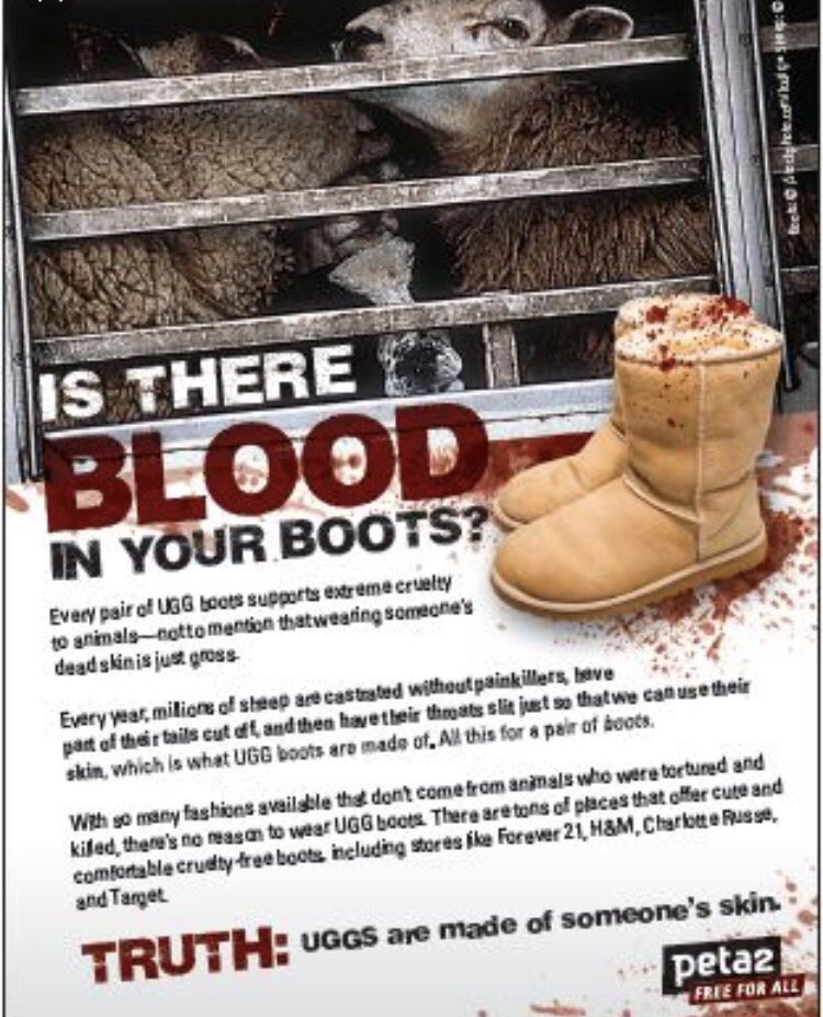 Cook11Derek's tweet image. And girls wear 200$ worth of sheep on their feet for only 2 months