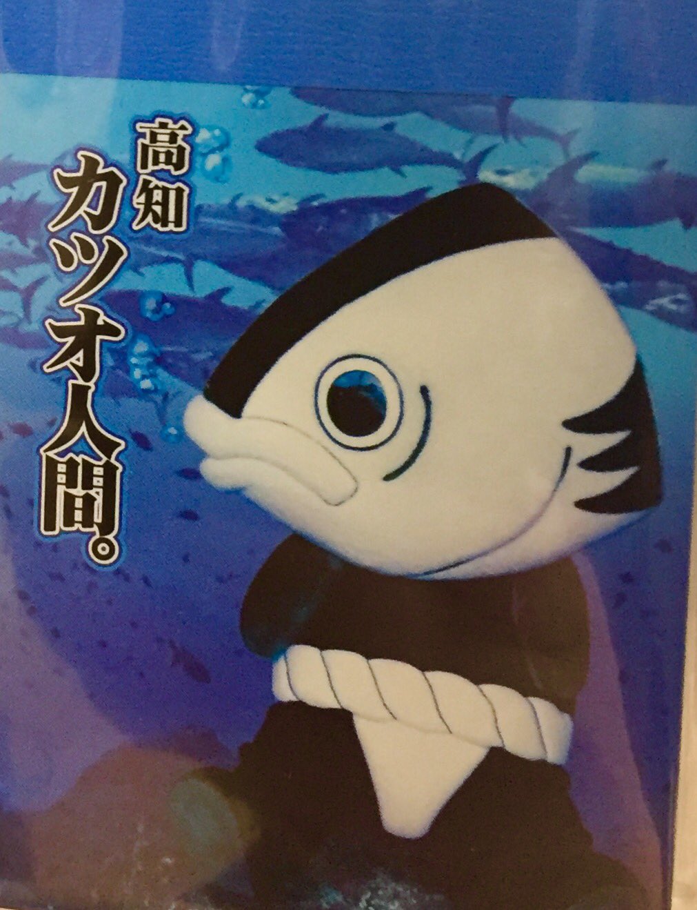 佐久間レイ カツオ人間の後ろ姿を知ってるかい 高知龍馬空港の売店にはご当地キャラ カツオ人間 グッズが 前から見ても結構インパクト大だが 後ろ姿が 子供の頃に この着ぐるみに会ったら 間違いなく夢に出てうなされただろう T Co