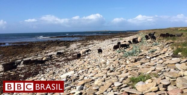 Emprego dos sonhos? França busca novos moradores para ilha deserta bbc.in/2xF0F0a