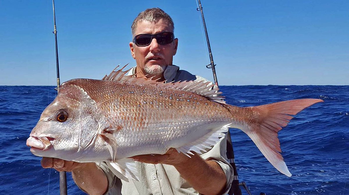 This is what the boys are catching up in #Noosa, Queensland. 
#hookeze #fishing #fishingnoosa #fishingqld #fishingaussiewaters #snapper