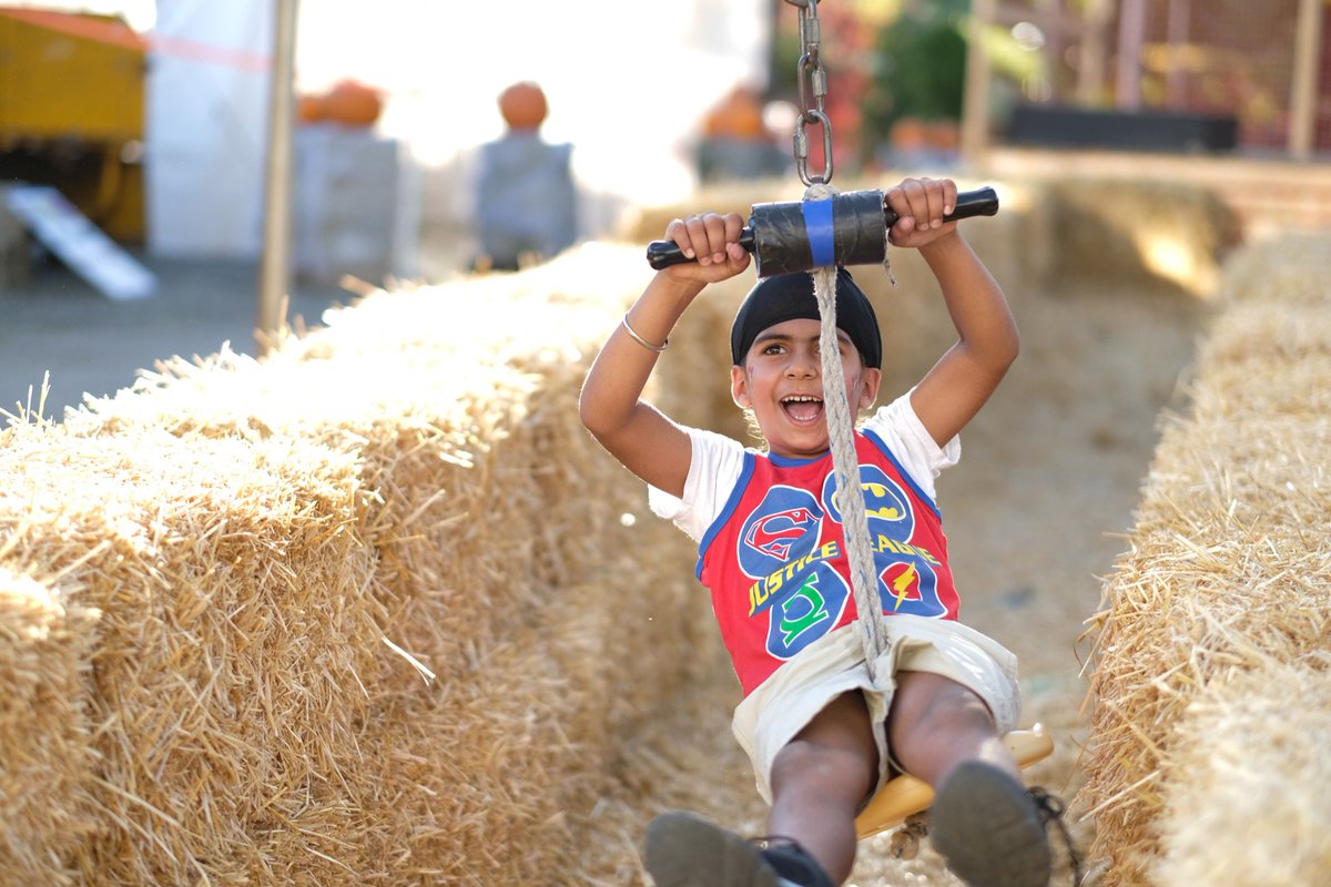 pardeepsingh's tweet image. Having a blast at @artknapppoco
