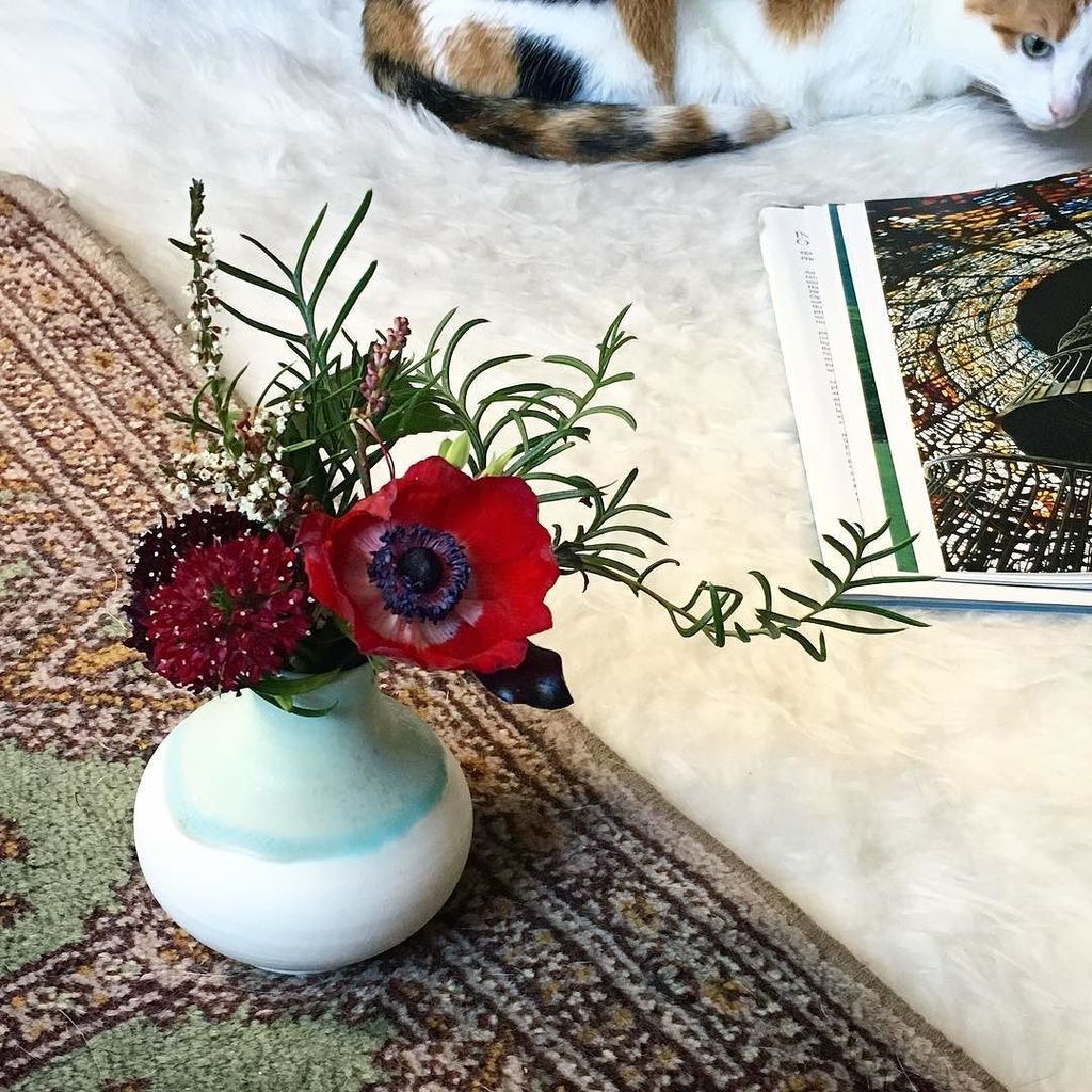 wasawarabi's tweet photo. A poppy from a posy, accompanied by Poppy. .
.
.
.
.
#favouritethings #hygge #ceramics #poppy_thecat #posy #wheelt… https://t.co/fJnBxzzVvq https://t.co/MZzxNUAXA0