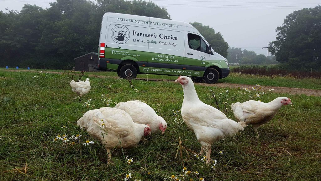 farmerschoiceuk's tweet photo. Morning from a real farm, run by real farmers, producing real food.

#chicken #freerange @MakeItBritish @HampshireFare @itvnews https://t.co/03WtCcgWtX