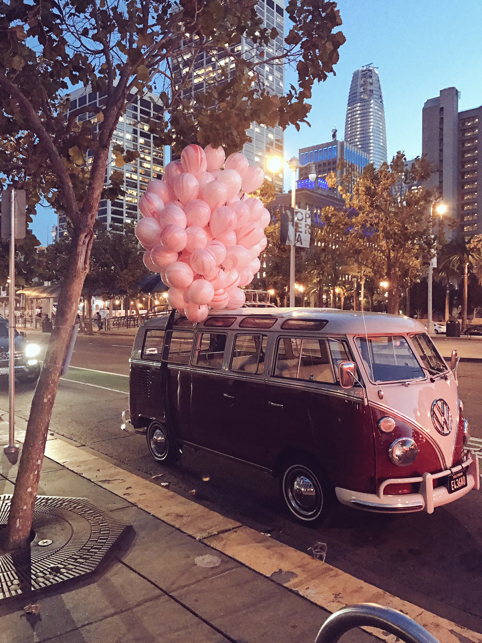 Cute mini on sale vans