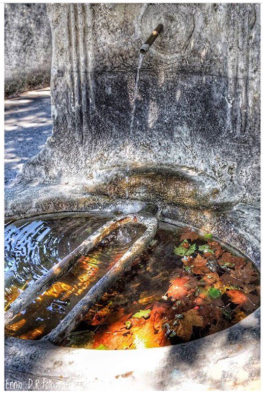 Visiting Provence tweet media