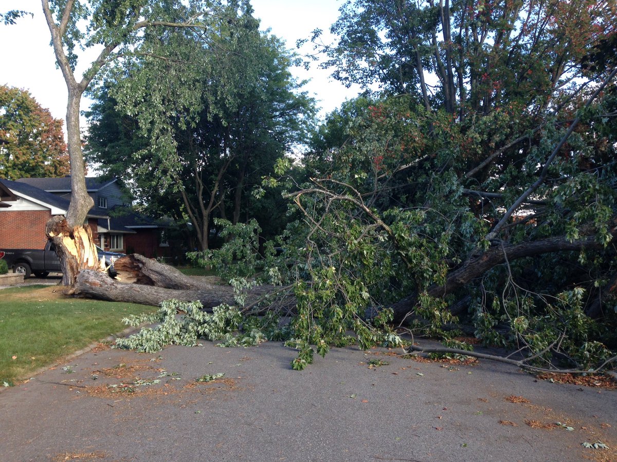 landwaterfork's tweet photo. My neighbourhood was hit hard in yesterday's storm. Some neighbours are still without power. #ottstorm https://t.co/pZxbIwjyUo