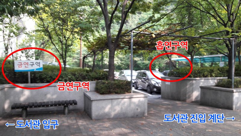 원정연 tweet media