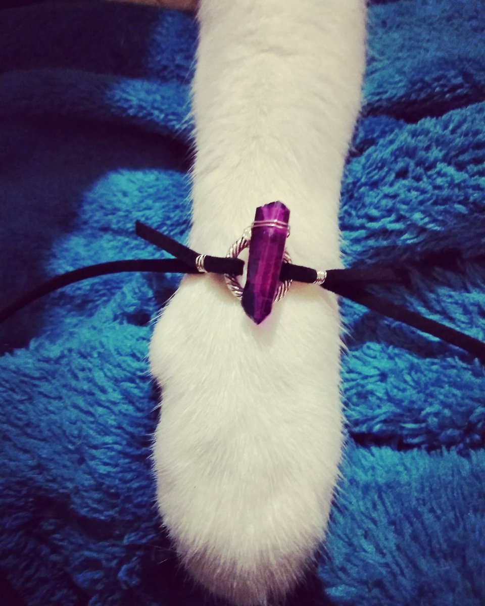 RubyRexStudio's tweet image. Meow