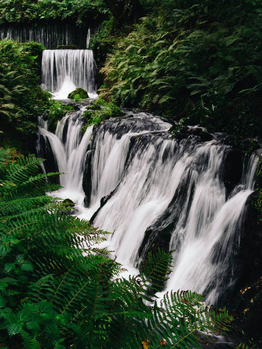 白糸の滝に続く遊歩道。
白糸の滝手前にこんな感じの渓流と滝が。

#ファインダー越しのわたしの世界#写真好きな人と繋がりがたい#coregraghy #photograghy
#白糸の滝 #軽井沢