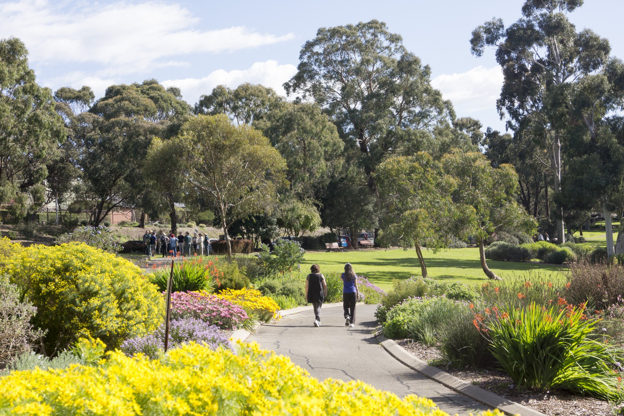 Adelaide Botanic Garden сверху