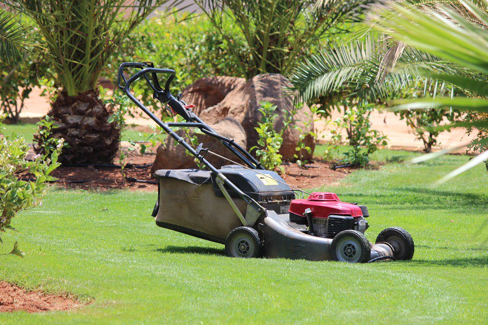gardencarelocal's tweet photo. #Artificialgrassmaintenance services are widely popular these days because of its various benefits.  https://t.co/OeV1ishMde https://t.co/xoZtxVJRZj