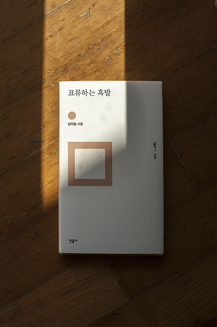 김이듬 시집 『표류하는 흑발』를 샀다. 가을 햇볕에게 먼저 읽어보라고 내줬더니 어디까지 읽었는지는 모르나 일단 갈피표를 먼저 했다. "흑발"이 아직 무엇인지는 모르겠다. 검은 발일 수도 있고, 검은 머리카락일 수도 있다. 일단 머리카락에 걸어본다.