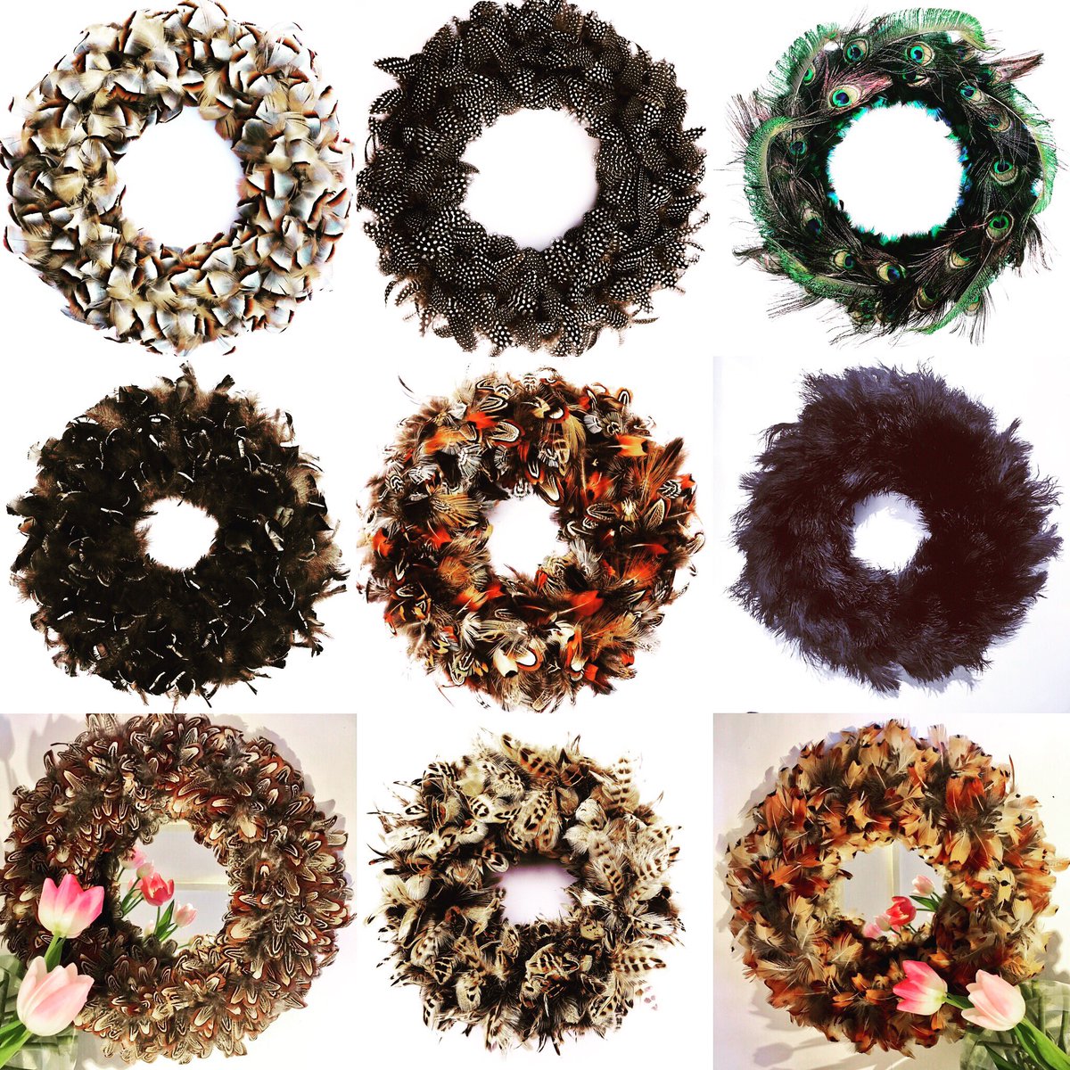 PluckingFabulous tweet media