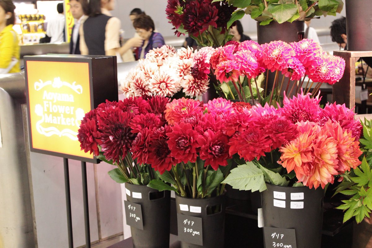 本日から10/4(水)まで、期間限定で新宿駅構内にポップアップショップが