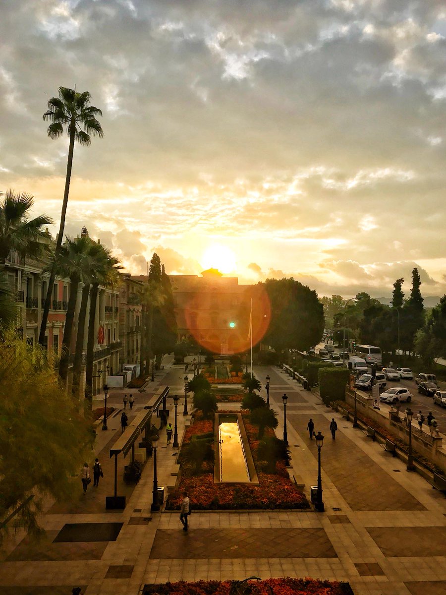 parquesdemurcia's tweet image. Murcia es belleza 😍 y nos permite contemplar imágenes así😊. Feliz día a todos🌳👷.