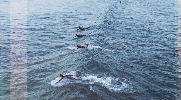 OceanObsessions's tweet image. party wave