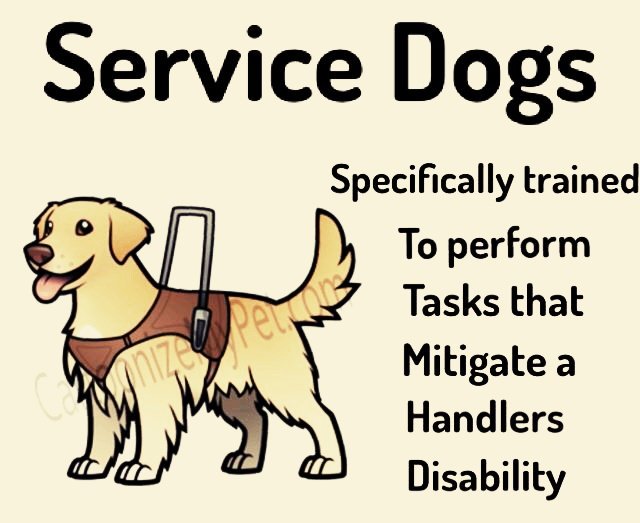 doodlebugmom's tweet photo. #LegallyDisabled #ServiceDogs are #TaskTrained 2 mitigate handlers DISABILITY. $ a #FakeSDRegistration online DOESN'T make U'r #PetDog a SD! https://t.co/Bk1E6QkSRa