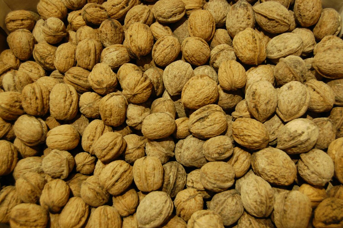 la bioteca tweet media