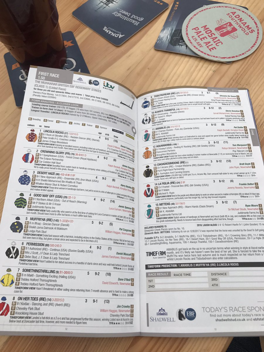 Say Neigh To Gambling Say Neigh To Gambling