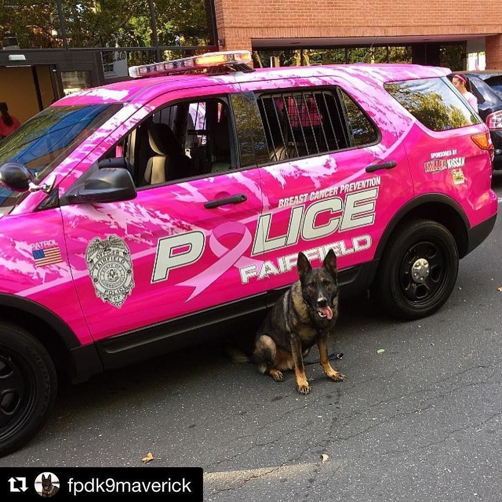 FPDCT's tweet photo. #Repost @fpdk9maverick
・・・
Today we were able to participate in an event for the "Pink Pledge" and breast cancer p… https://t.co/rIEBEFRHf0 https://t.co/hVhkfsUDrD
