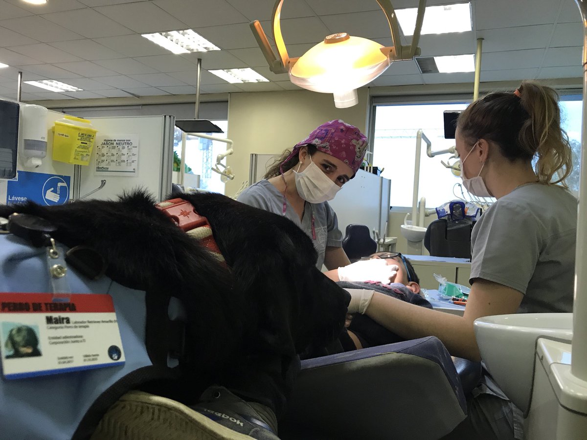 corpjuntoati's tweet photo. Los viernes  @uandes apoyando a los niños con #autismo en el box dental  gracias a @Walmart__Chile hoy trabaja Maira con las odontopediatras https://t.co/DWfqI6rEp1