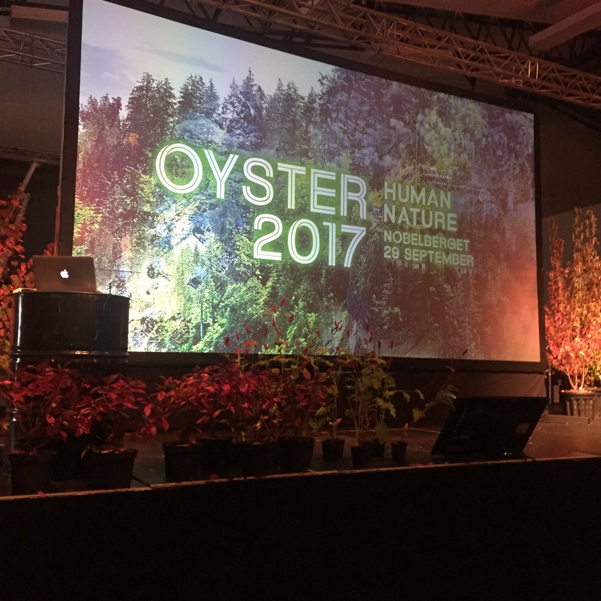 Strax inleds #oyster2017! #nobelberget