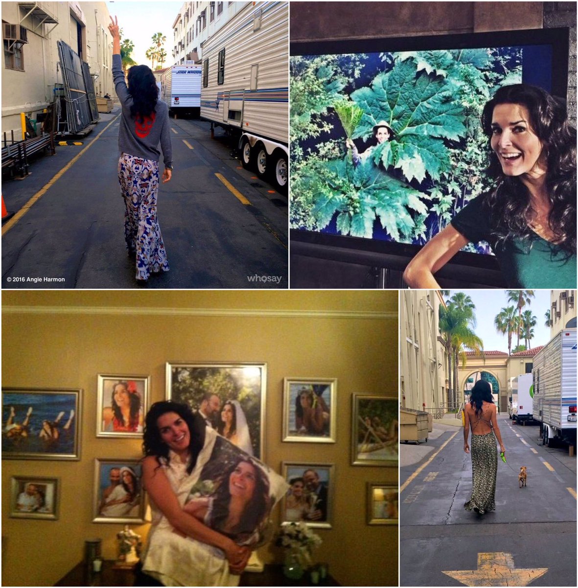 cocchis_silvia's tweet photo. #ffbest #Angiefriday Angie with these #beautiful pictures wish all us #twangels #amazing #fabulous #terrific #janefriday .Angie the best https://t.co/3BRsX2ubY3