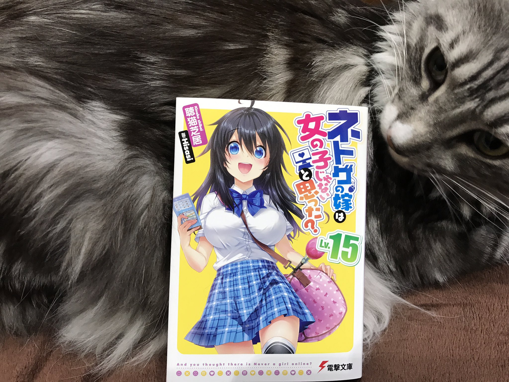 Tvアニメ ネトゲの嫁 公式 Netoge Anime Twitter
