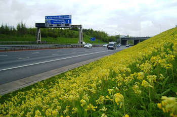 ICEEMSLtd's tweet photo. Balfour wins £36m contract extension on M1-A1 Link: https://t.co/lQtT9ulYNs by @highwaysmag @balfourbeatty #highwayssector #highways https://t.co/zJzipI4Lhs