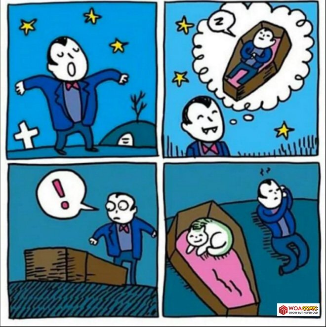 Woacomicss's tweet photo. Oh right. That's why I sleep in a fuckin coffin https://t.co/gVgJafQpnl