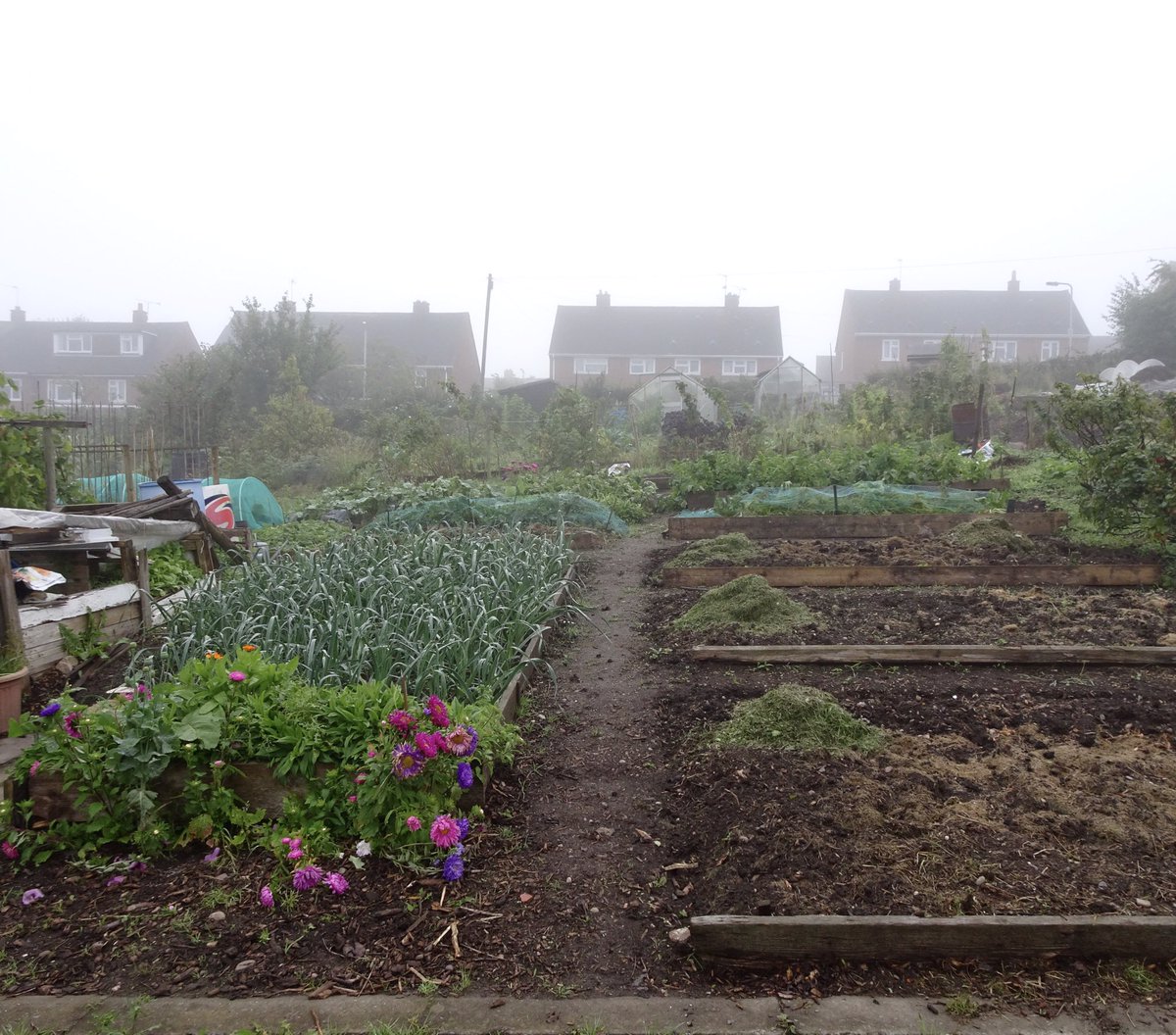 Looking forward to this fascinating glimpse into the history of #allotments 15 Oct <a href="/Newhampton/">NewhamptonArtsCentre</a> 2pm with #TwigsWay facebook.com/events/4853686…